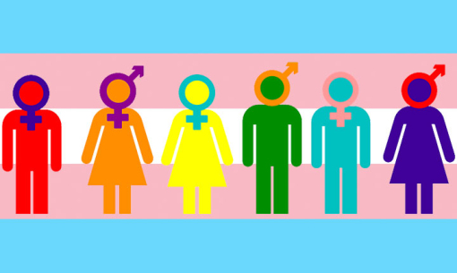 Eleitores transgêneros e travestis poderão usar nome social, decide TSE